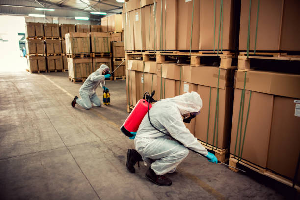 Best Cockroach Control Services  in Salinas, CA