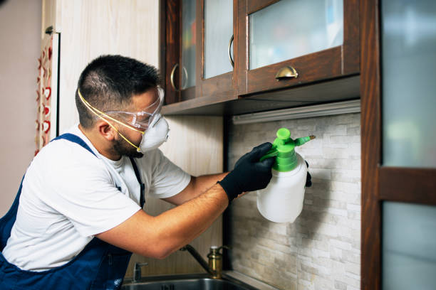 Best Affordable Pest Control Services  in Salinas, CA