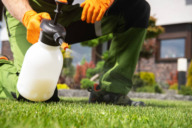 Best Insect Control  in Salinas, CA