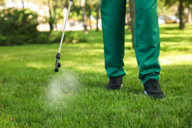 Best Pest Control for Restaurants  in Salinas, CA