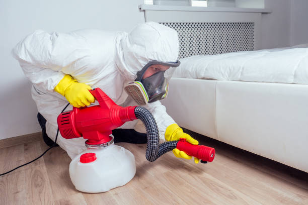 Best Termite Control Services  in Salinas, CA