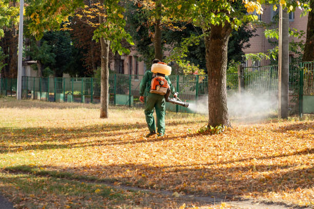 Best Termite Control Services  in Salinas, CA