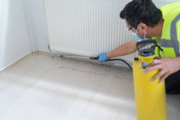 Best Pest Inspection Near Me  in Salinas, CA