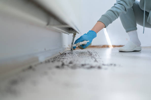 Pest Control for Restaurants in Salinas, CA